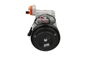 Klimakompressor DCP12008 Denso NEU
